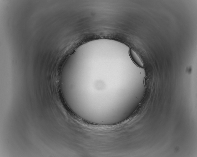 X0000090860040200707270943