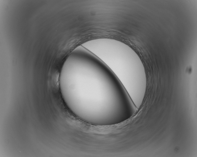 X0000090860041200707270943