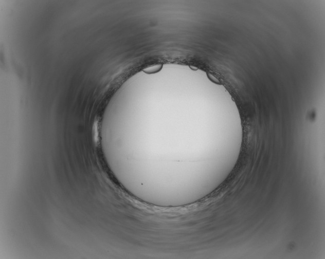 X0000090860042200707270942