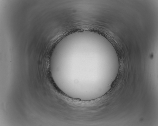 X0000090860043200707270942