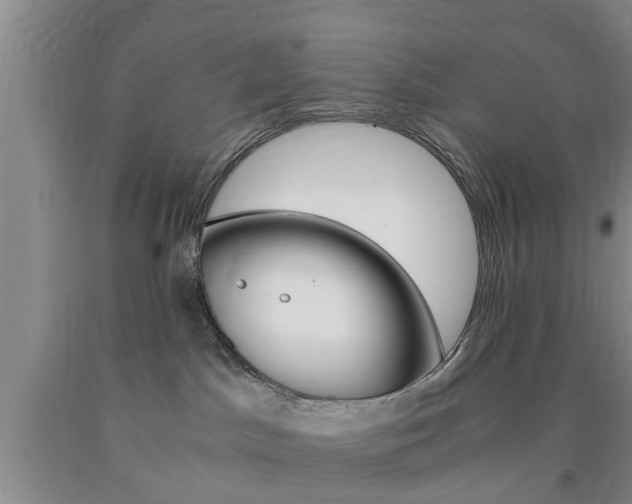 X0000090860045200707270942