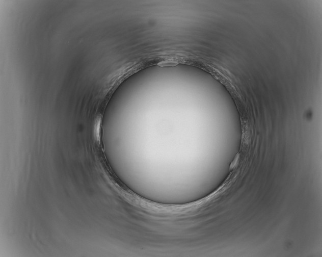 X0000090860047200707270942