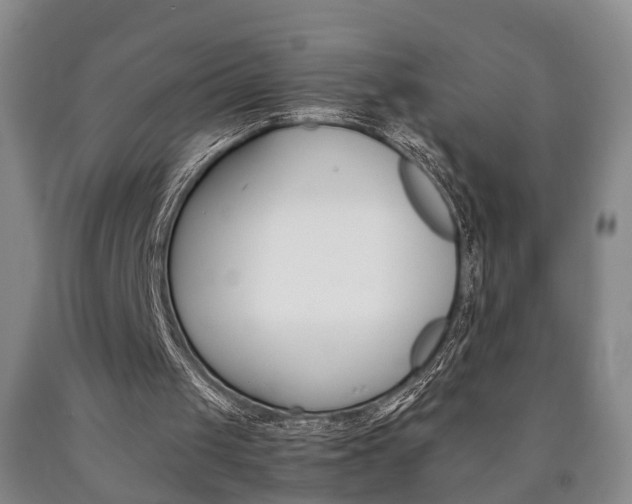 X0000090860049200707270942