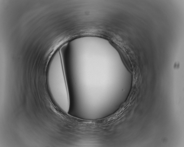 X0000090860050200707270942