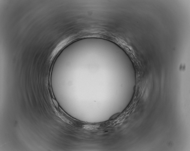 X0000090860051200707270942
