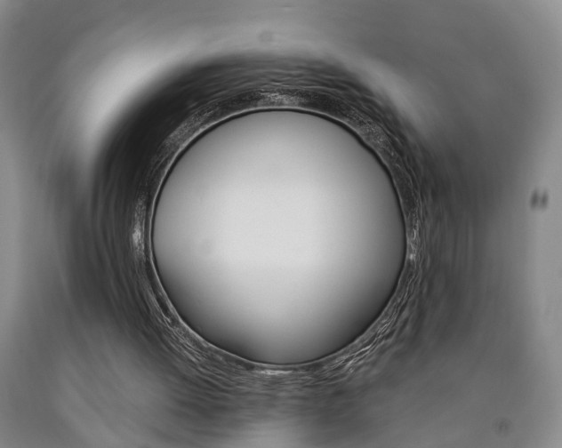 X0000090860052200707270942