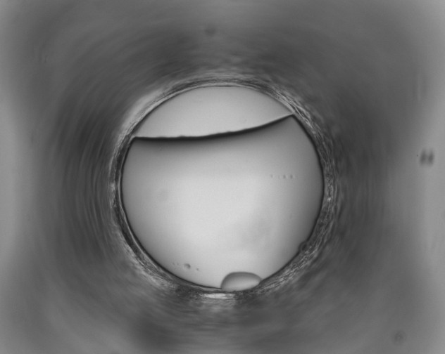 X0000090860053200707270942