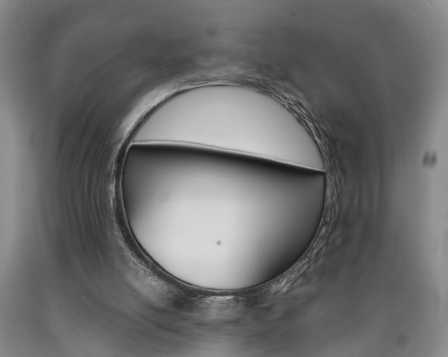X0000090860054200707270942
