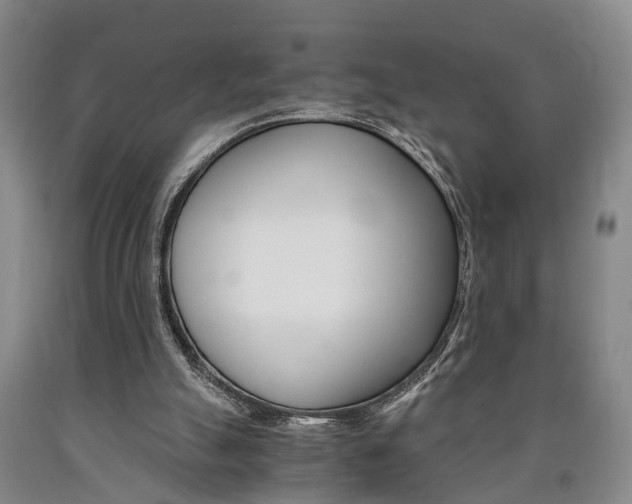 X0000090860055200707270942