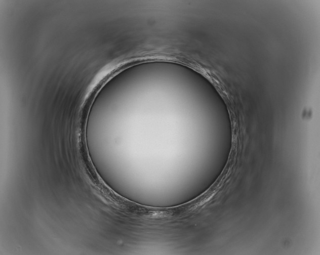 X0000090860056200707270942