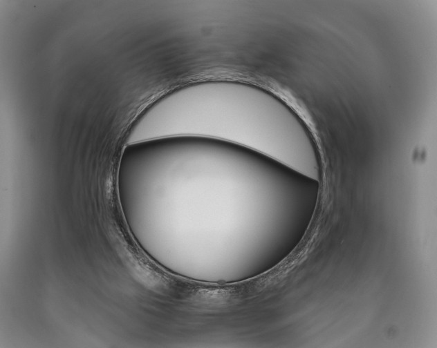 X0000090860057200707270942