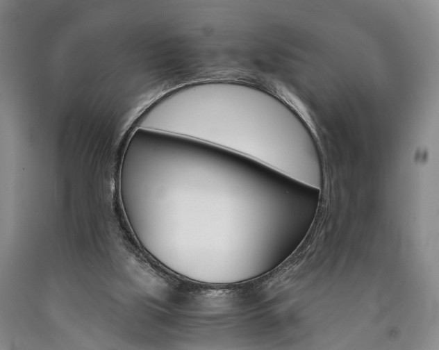 X0000090860059200707270942