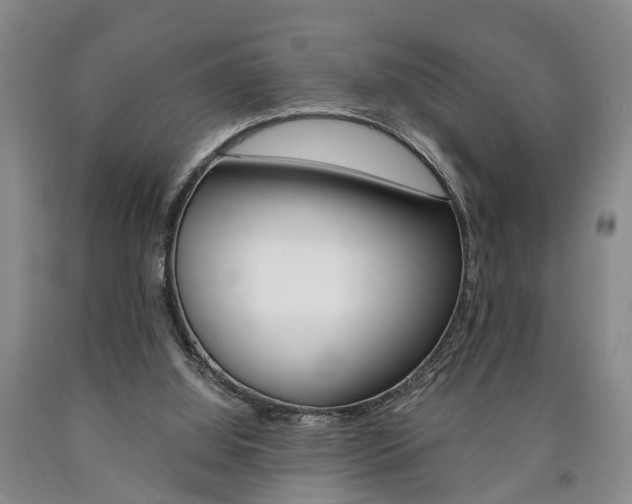 X0000090860060200707270942