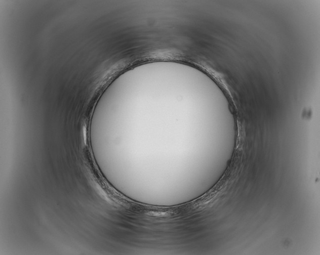 X0000090860061200707270942
