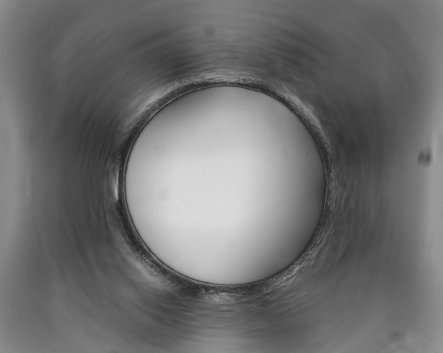 X0000090860062200707270942