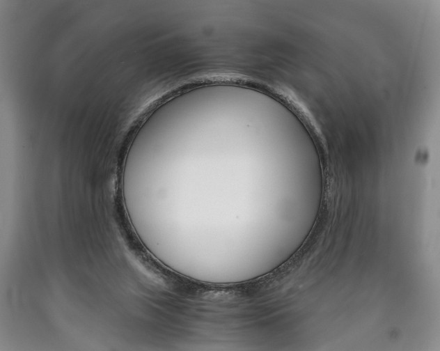 X0000090860063200707270942