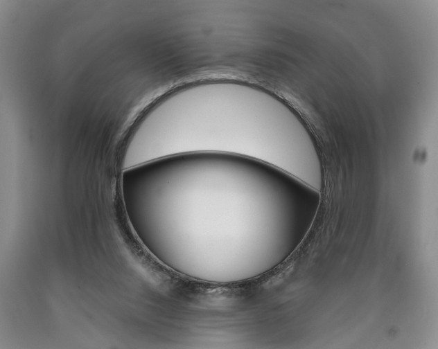 X0000090860064200707270942