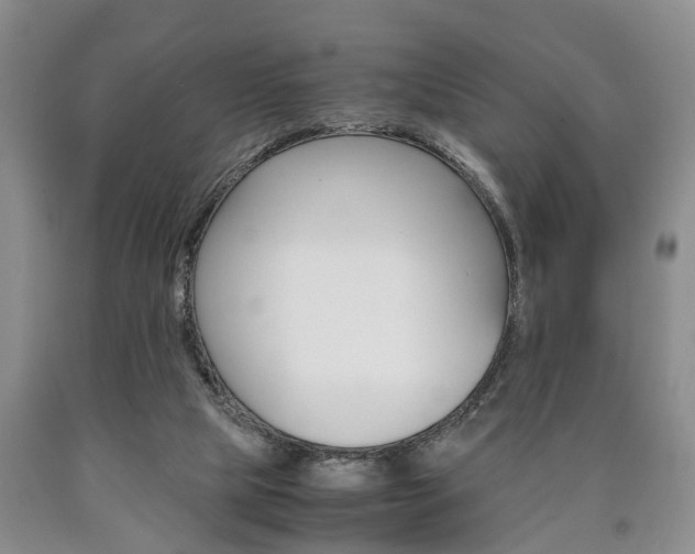 X0000090860065200707270942