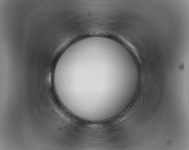 X0000090860067200707270942