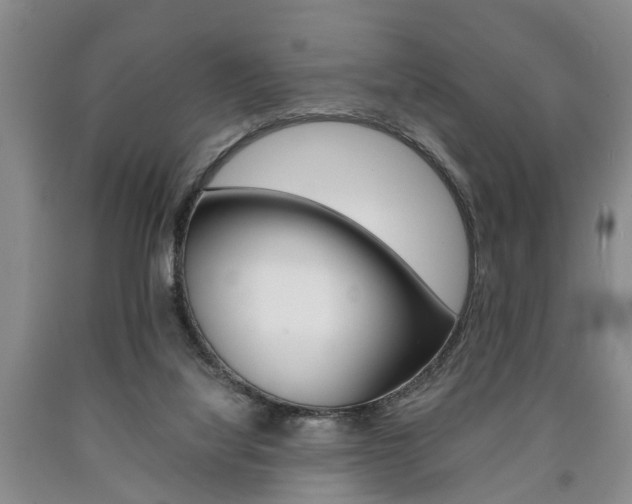 X0000090860068200707270942