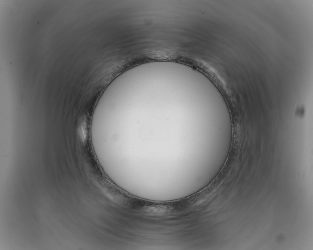 X0000090860069200707270942