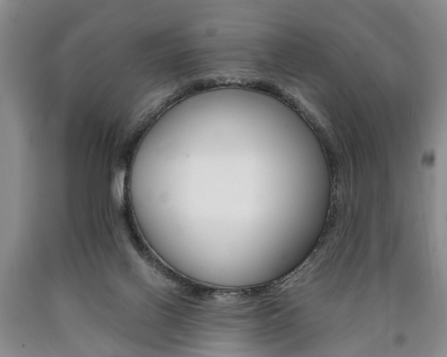X0000090860070200707270942