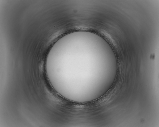 X0000090860071200707270942