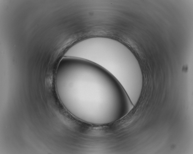 X0000090860072200707270942
