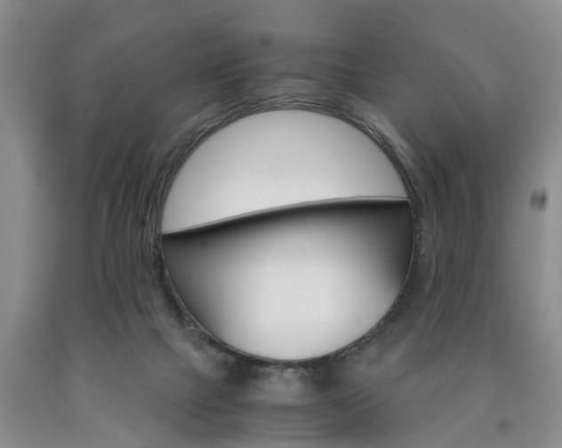 X0000090860073200707270942