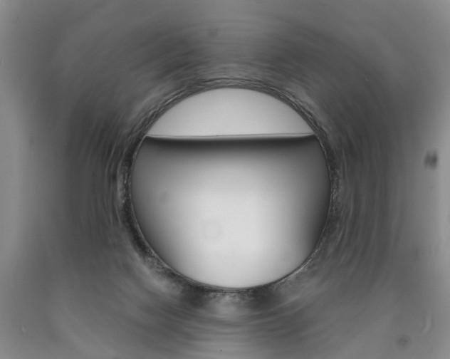 X0000090860074200707270942