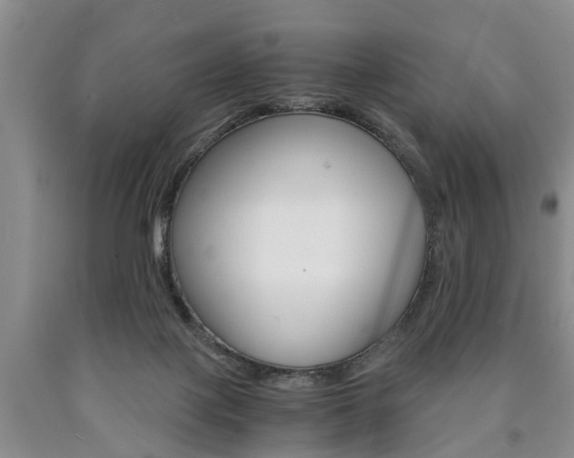 X0000090860075200707270942