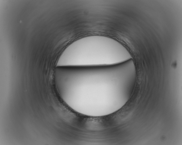 X0000090860077200707270942