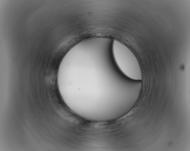 X0000090860078200707270942