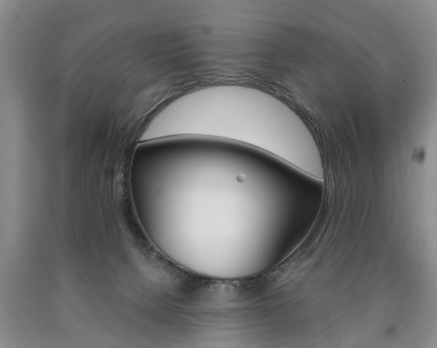 X0000090860080200707270942