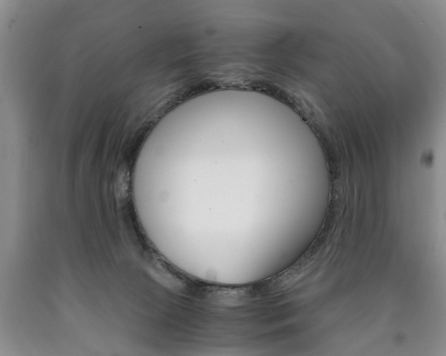 X0000090860081200707270942