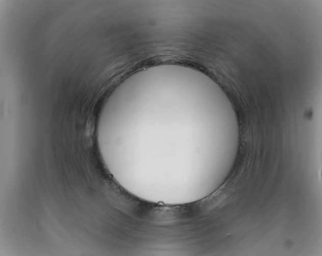 X0000090860082200707270942