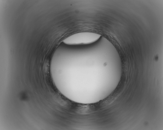 X0000090860083200707270942