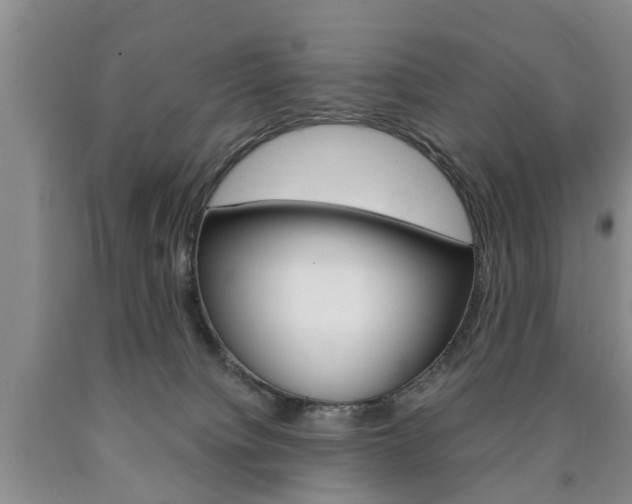 X0000090860084200707270942