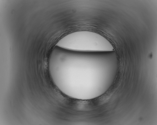 X0000090860085200707270942