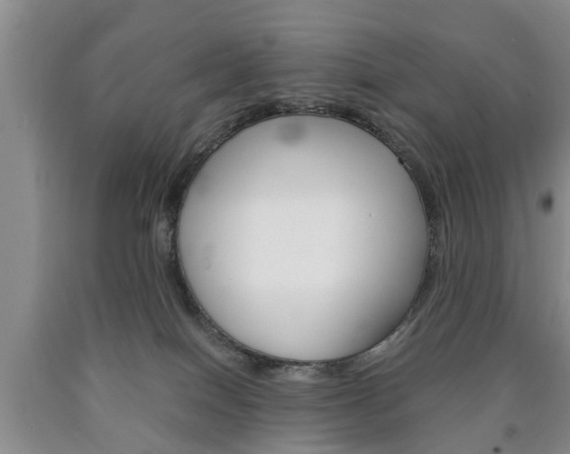 X0000090860086200707270942