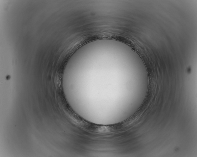 X0000090860091200707270942