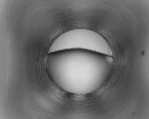 X0000090860093200707270942