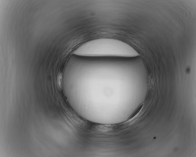 X0000090860094200707270942