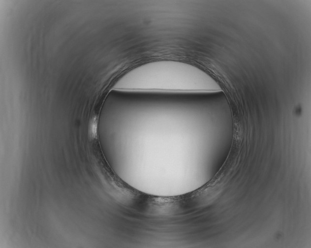 X0000090860095200707270942
