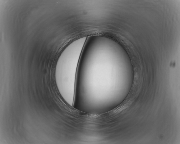 X0000090860096200707270942
