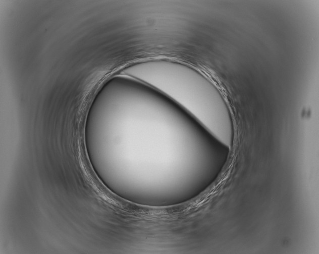 X0000090860097200707270942