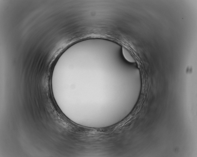X0000090860098200707270942