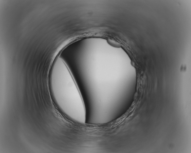 X0000090860100200707270942