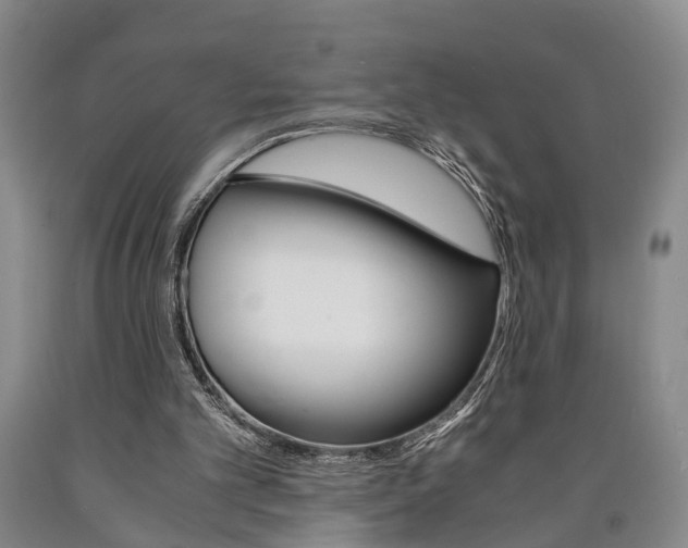 X0000090860101200707270942