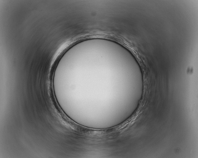 X0000090860102200707270942